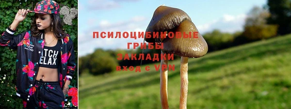 эйфоретик Вязьма