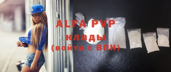 гашик Вяземский