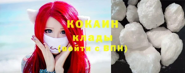 гашик Вяземский