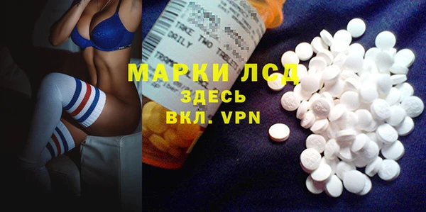 гашик Вяземский