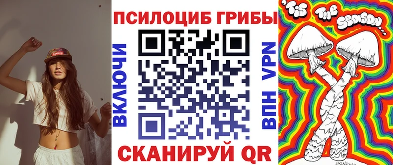 Купить  Оха  Псилоцибиновые грибы Psilocybe 